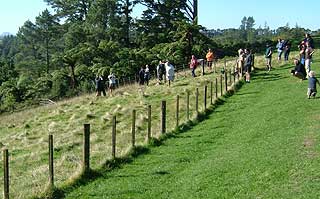 Disc Golf New Zealand